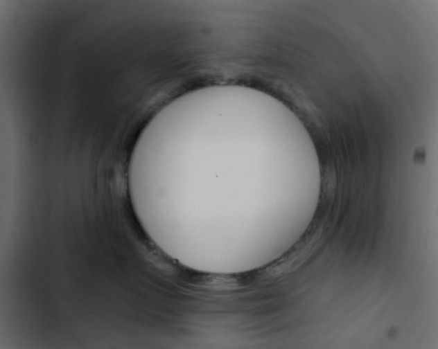 X0000103910719200809191119