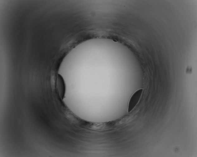 X0000103910720200809191119