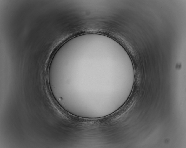 X0000103910721200809191118