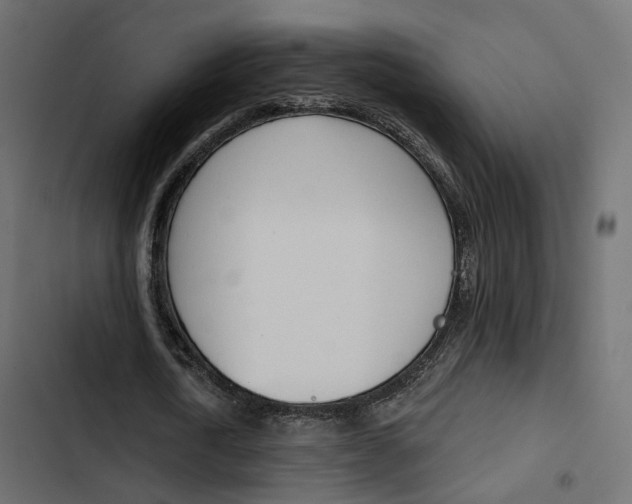 X0000103910722200809191118