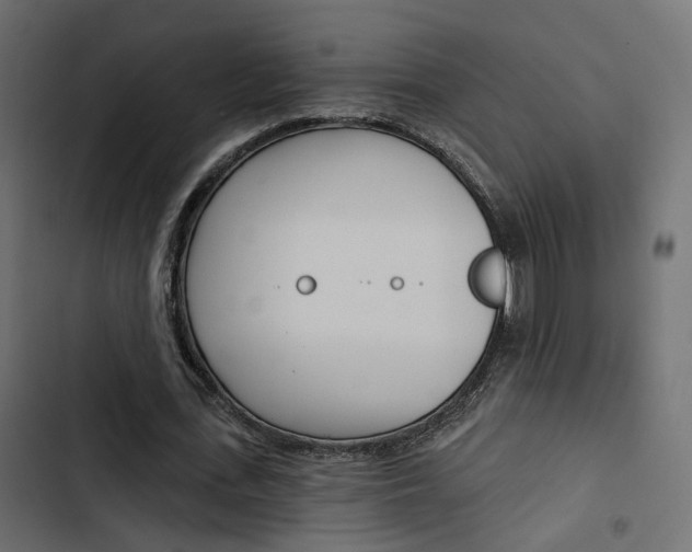 X0000103910723200809191118