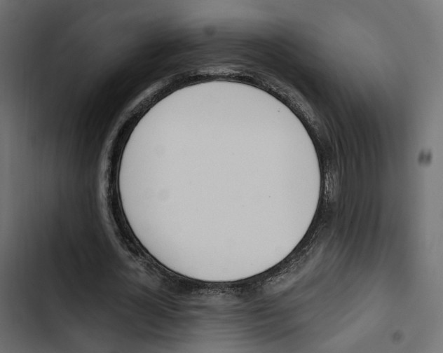X0000103910724200809191118