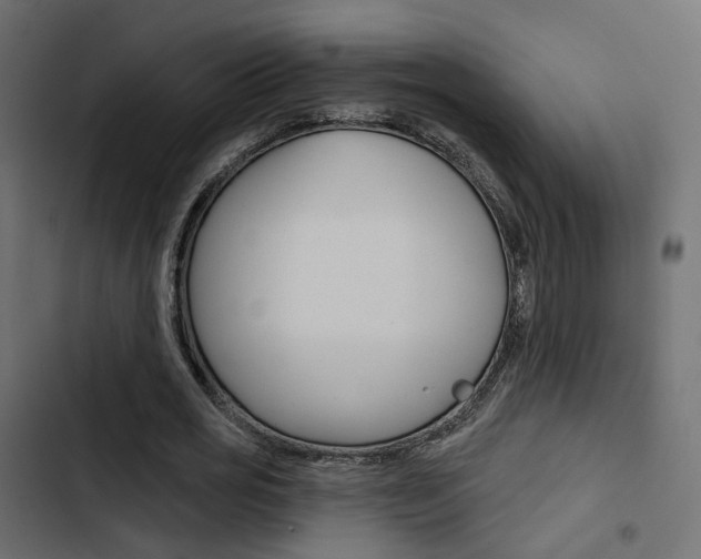 X0000103910725200809191118