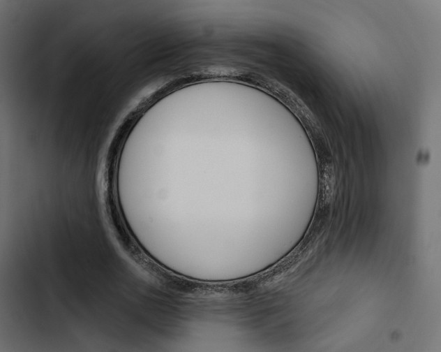 X0000103910726200809191118