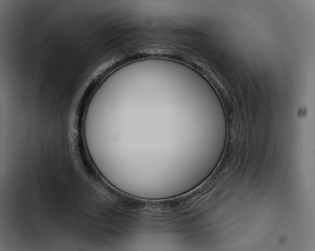 X0000103910727200809191118