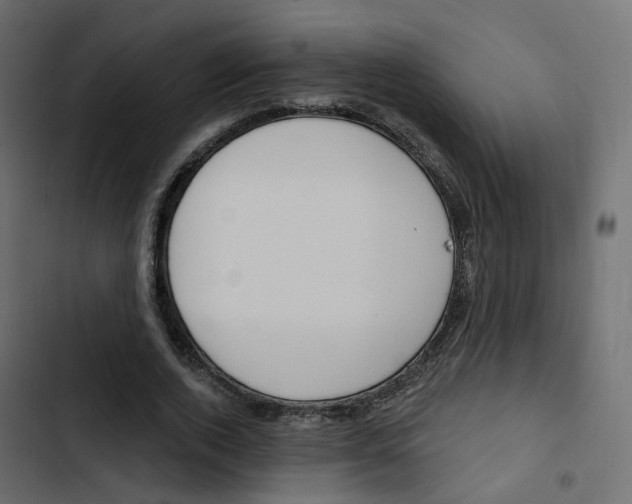 X0000103910728200809191118