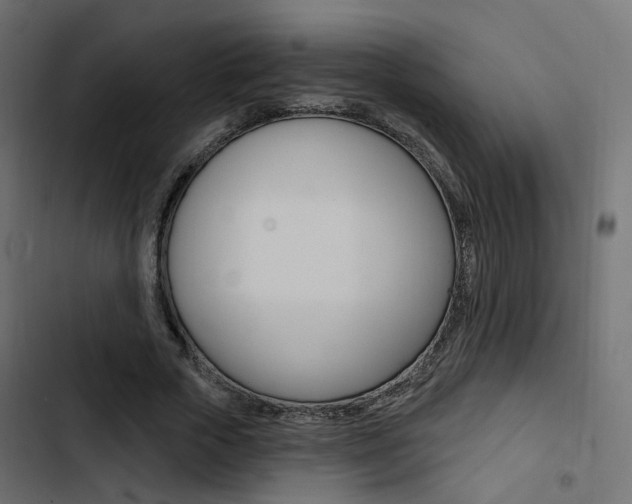 X0000103910729200809191118