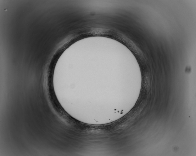 X0000103910730200809191118