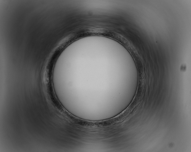 X0000103910731200809191118