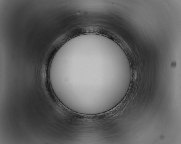 X0000103910733200809191118