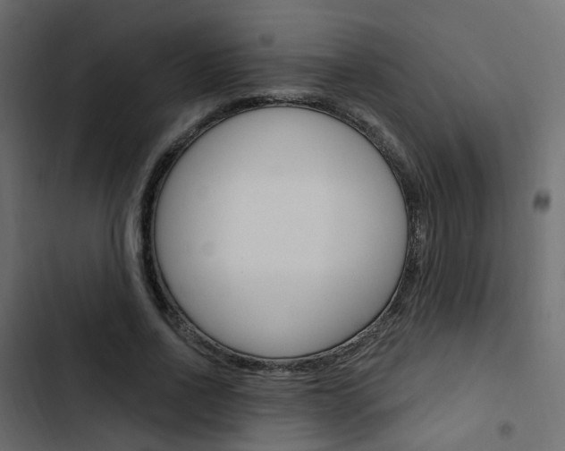 X0000103910734200809191118