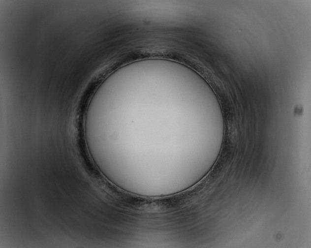 X0000103910735200809191118