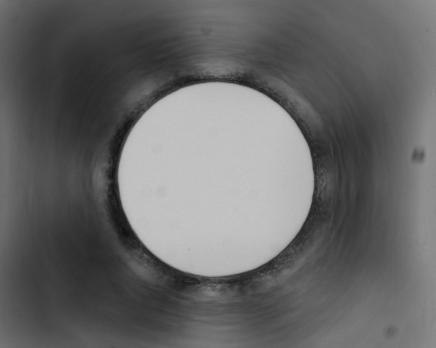 X0000103910736200809191118