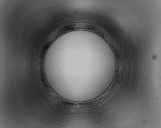 X0000103910737200809191119