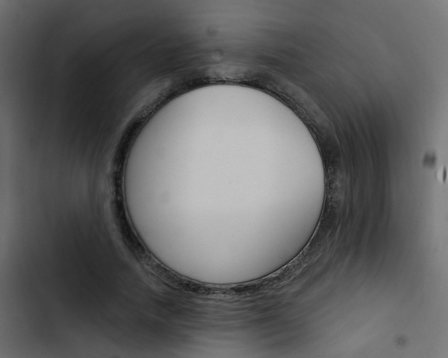 X0000103910738200809191119