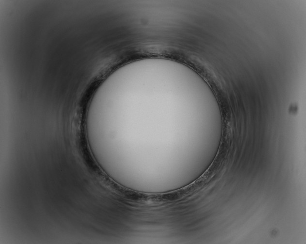 X0000103910739200809191119