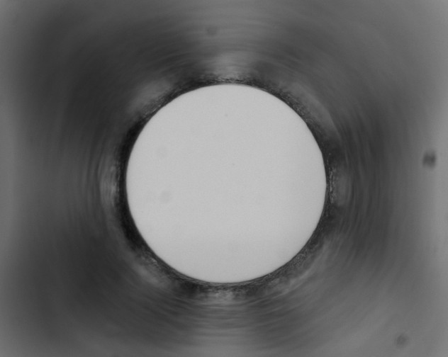 X0000103910740200809191119