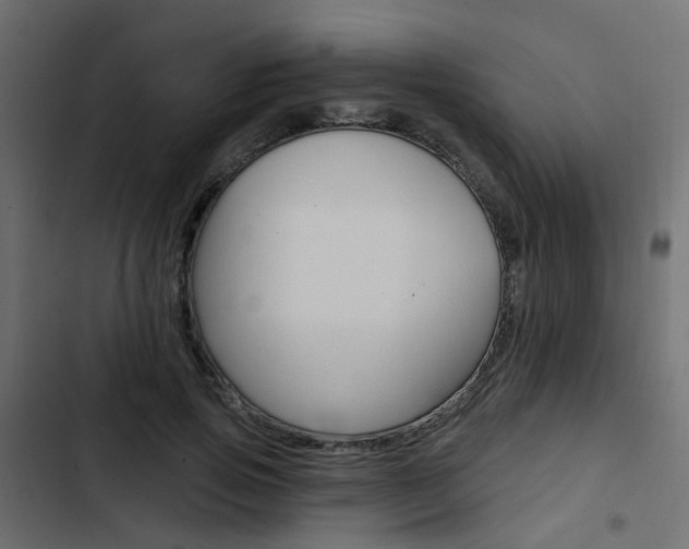 X0000103910741200809191119