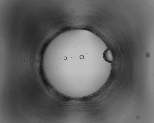X0000103910742200809191119