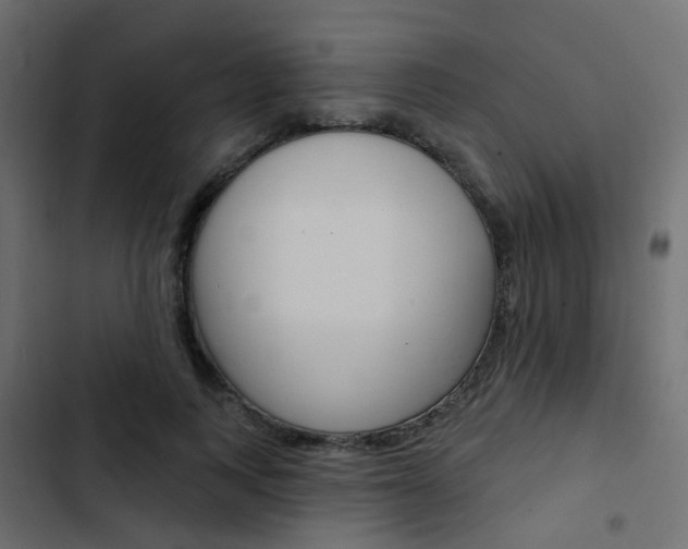 X0000103910743200809191119