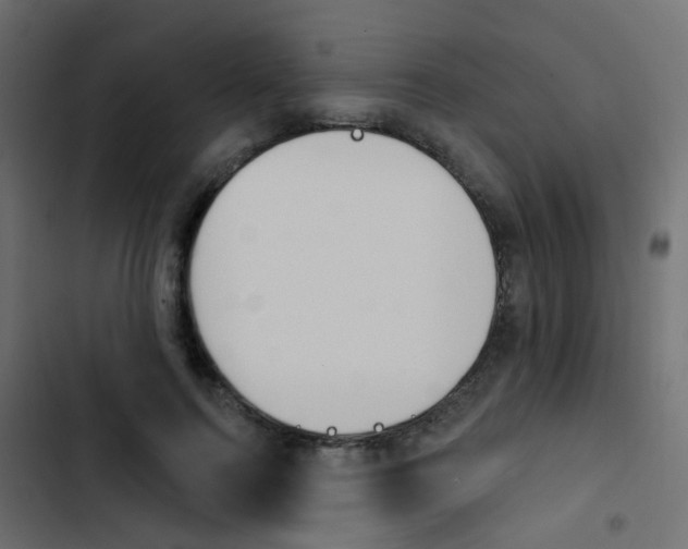 X0000103910744200809191119