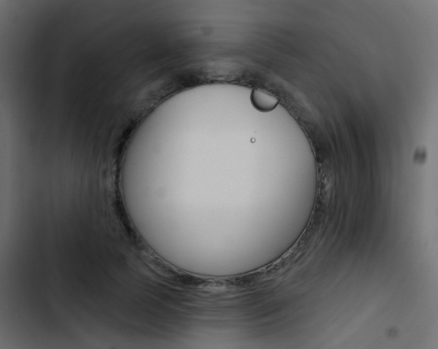 X0000103910745200809191119