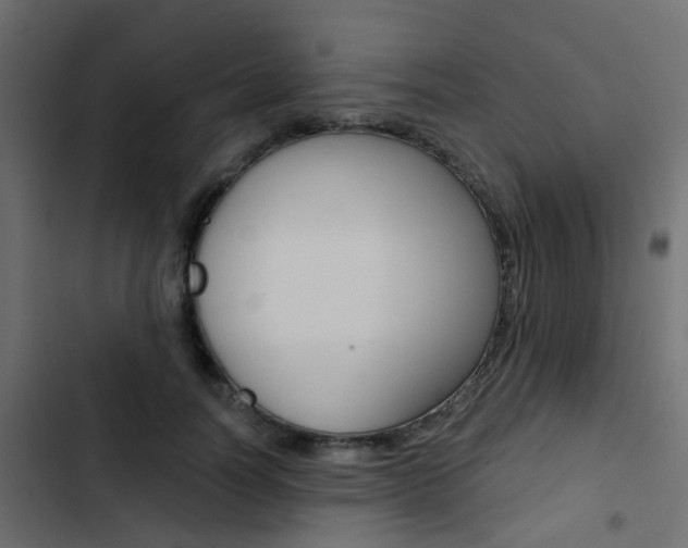 X0000103910746200809191119