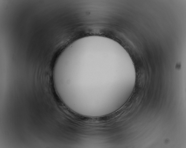 X0000103910747200809191119