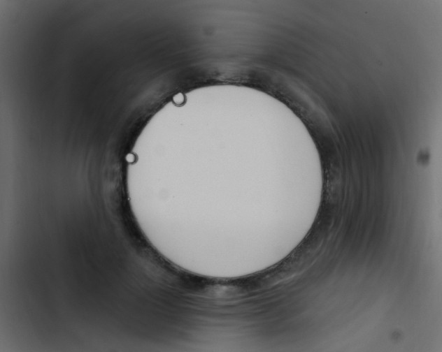 X0000103910748200809191119