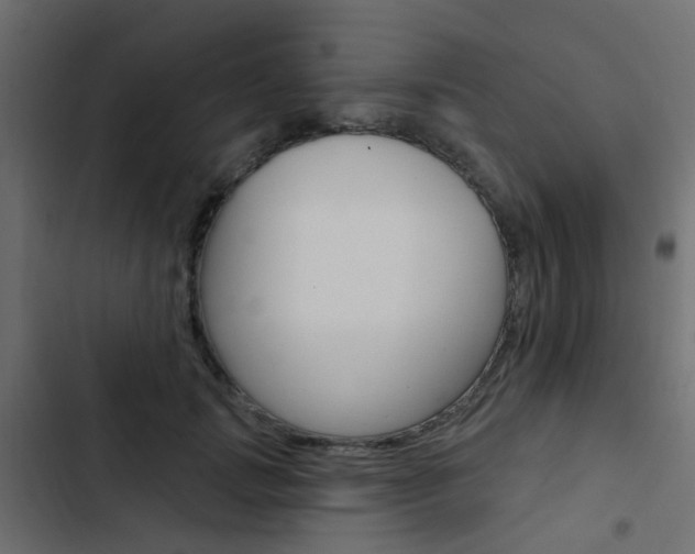 X0000103910749200809191119