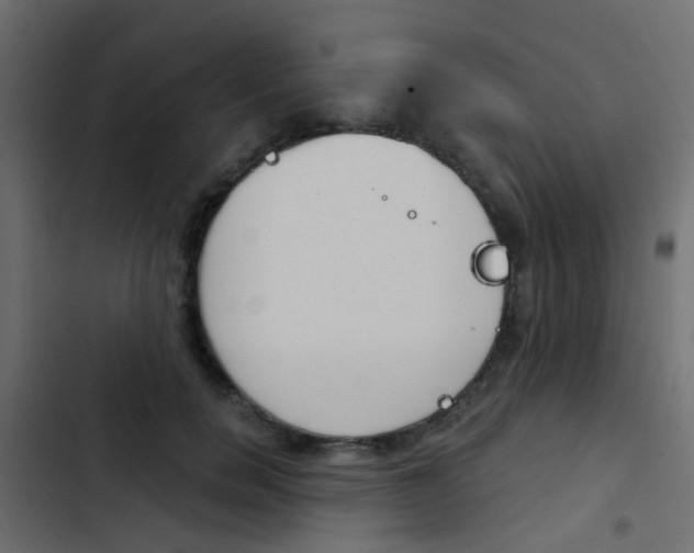 X0000103910750200809191119