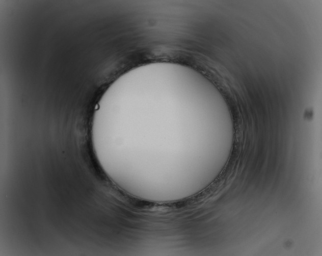 X0000103910751200809191119