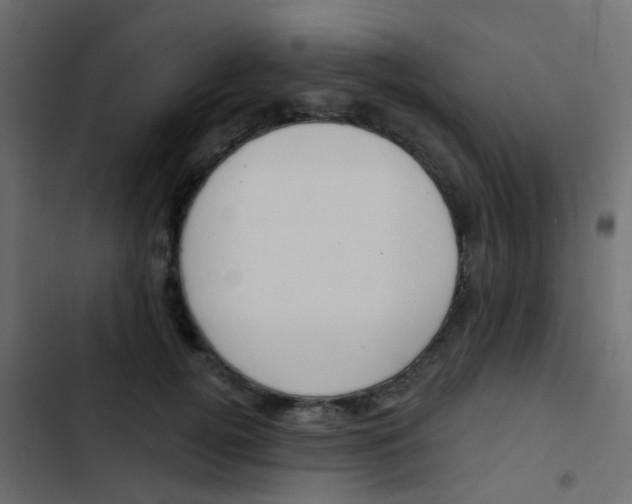 X0000103910752200809191119