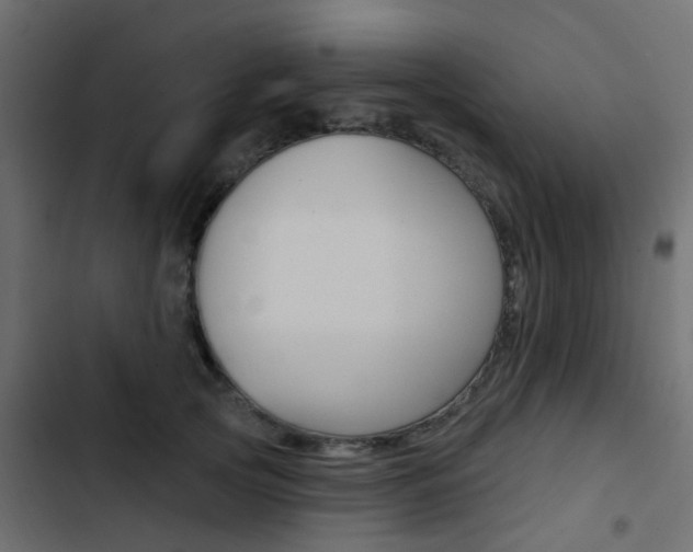 X0000103910753200809191119