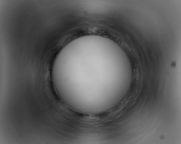 X0000103910754200809191119