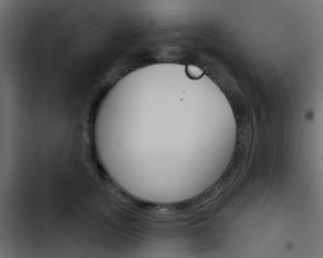 X0000103910755200809191119