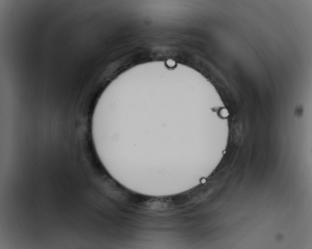 X0000103910756200809191119
