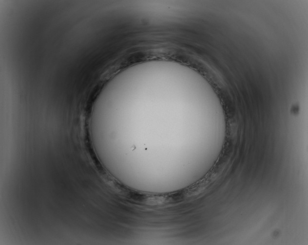 X0000103910757200809191119