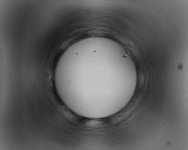 X0000103910759200809191119