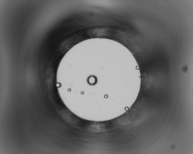 X0000103910760200809191119