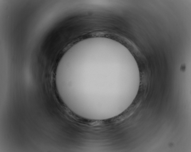 X0000103910761200809191119