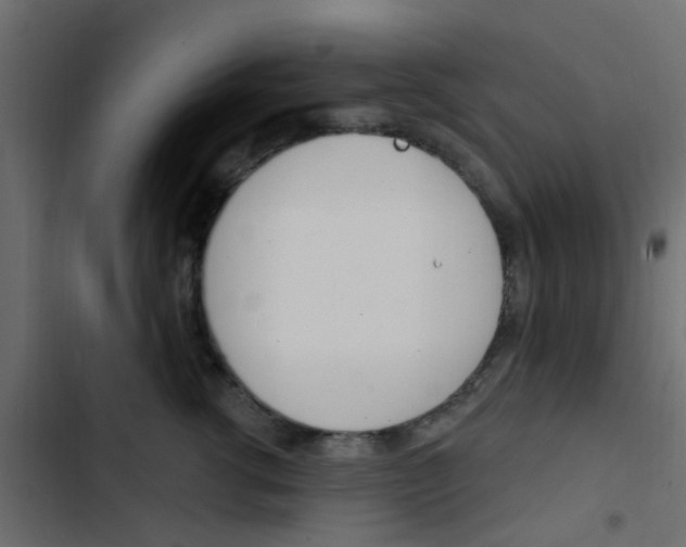 X0000103910762200809191119