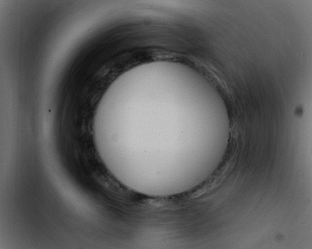X0000103910763200809191119