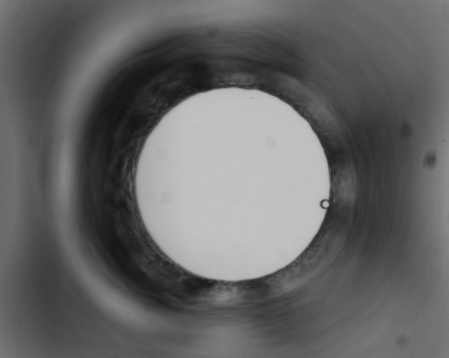 X0000103910764200809191119