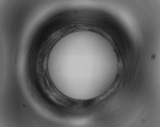 X0000103910765200809191119