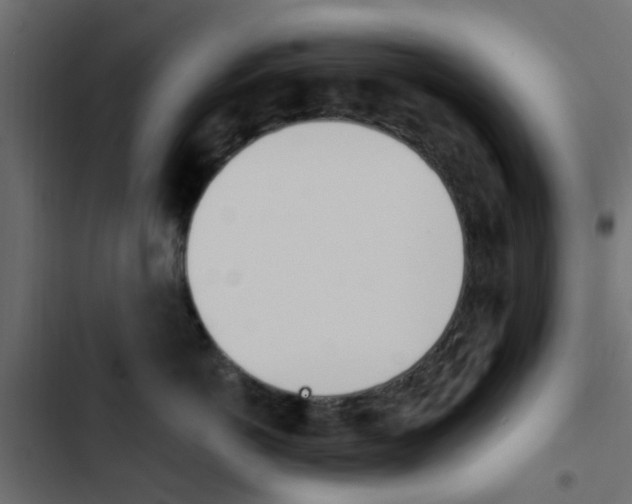 X0000103910766200809191119