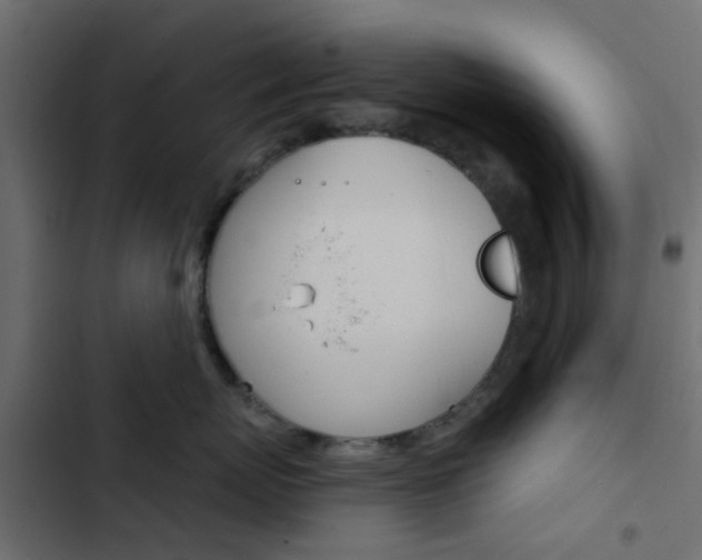 X0000103910767200809191119