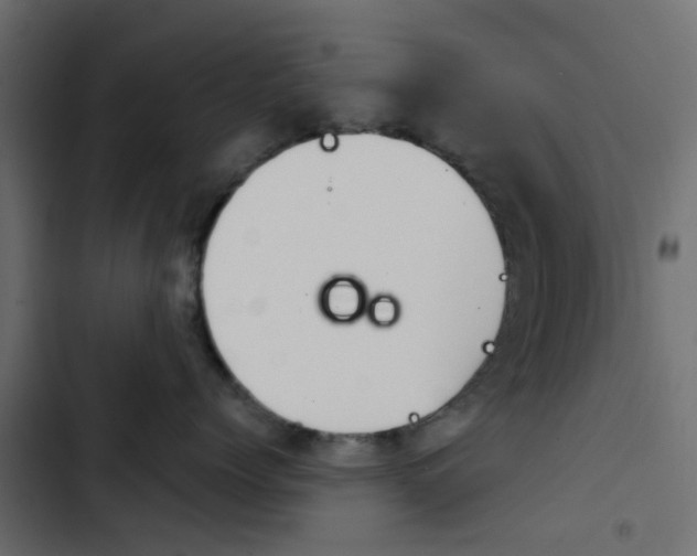 X0000103910768200809191119