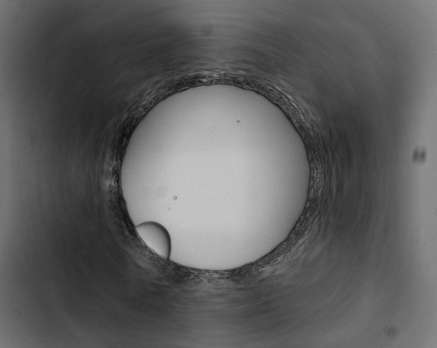 X0000103910770200809191118