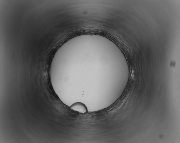 X0000103910771200809191118